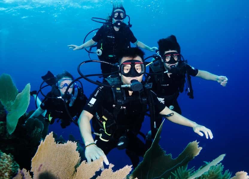 Alton's Dive Center