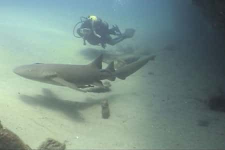 DiveHatteras — photo 2