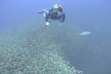 DiveHatteras — photo 3