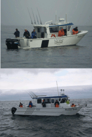 5 Star Charters — photo 1