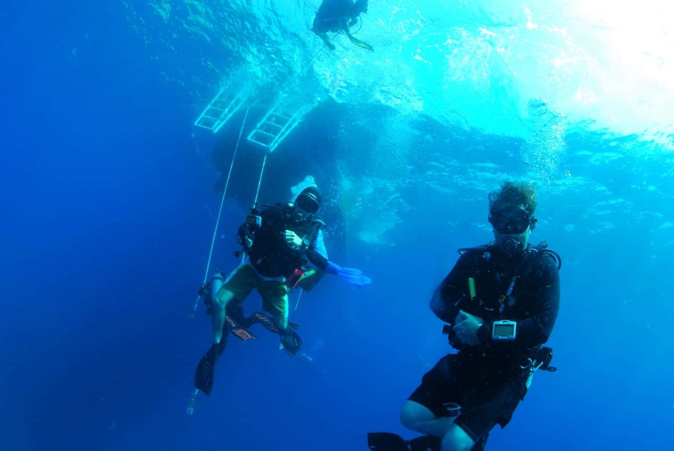 5 Star Divers