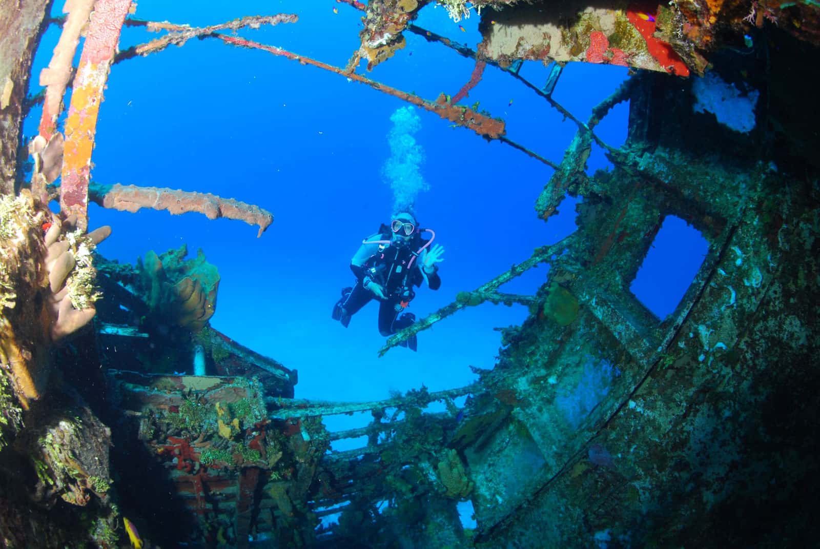 5 Star Divers — photo 3