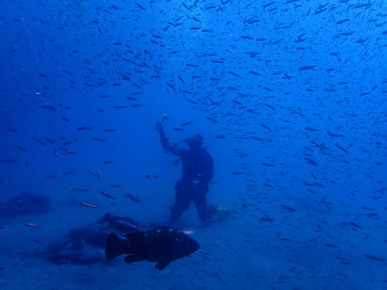 Acuarios Dive Center — photo 2