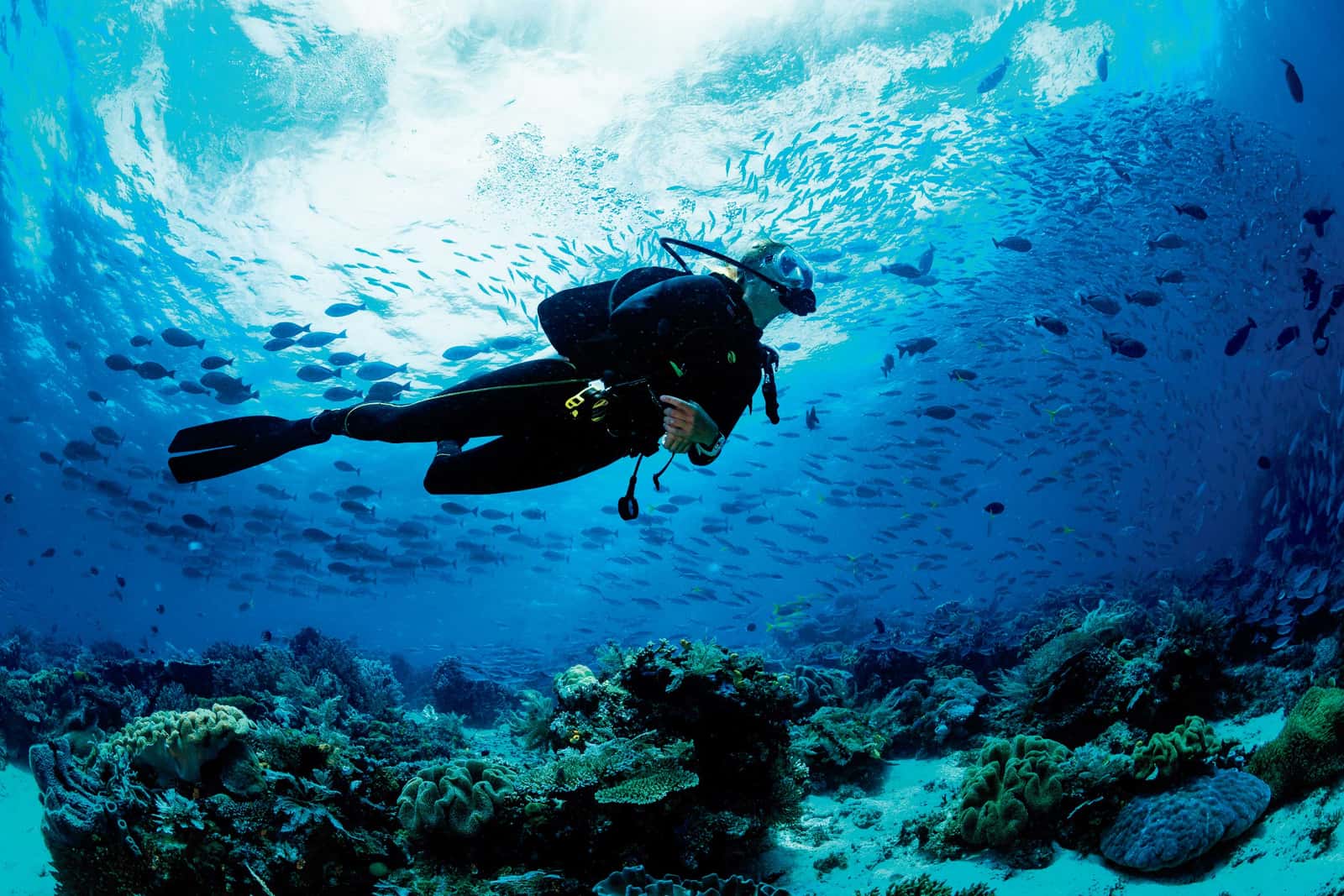 Adriatic Diving Center — photo 5