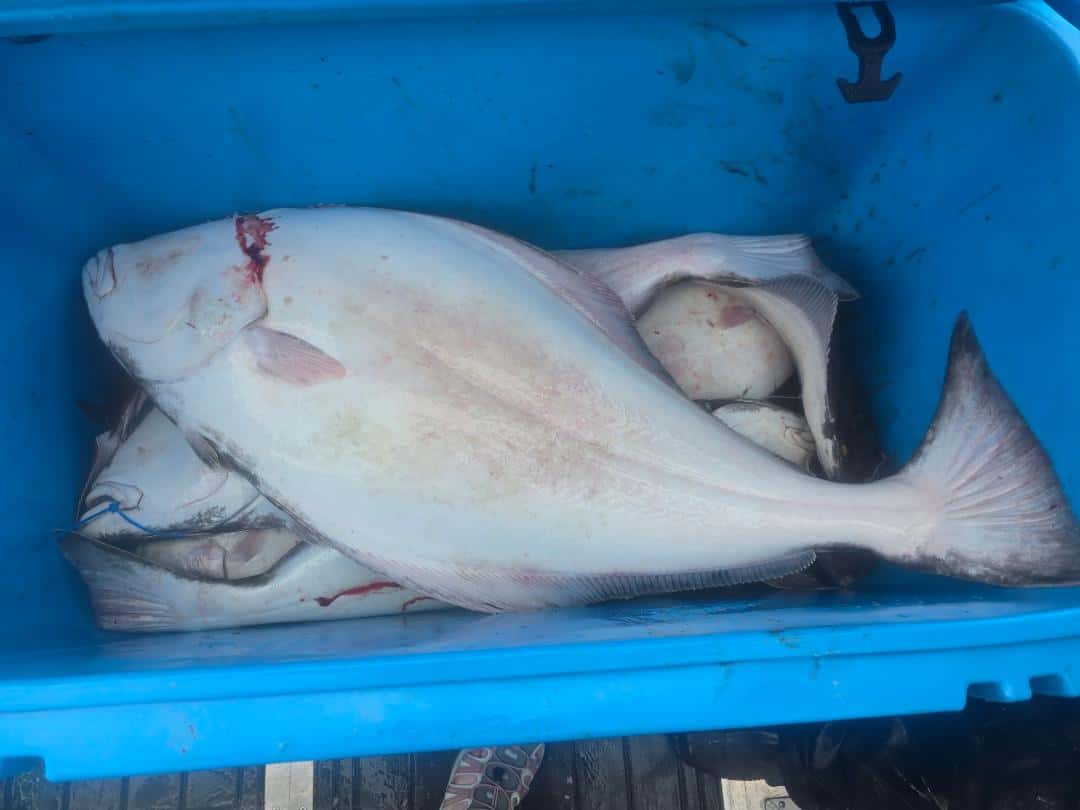 Adventure Charter Fishing — photo 2
