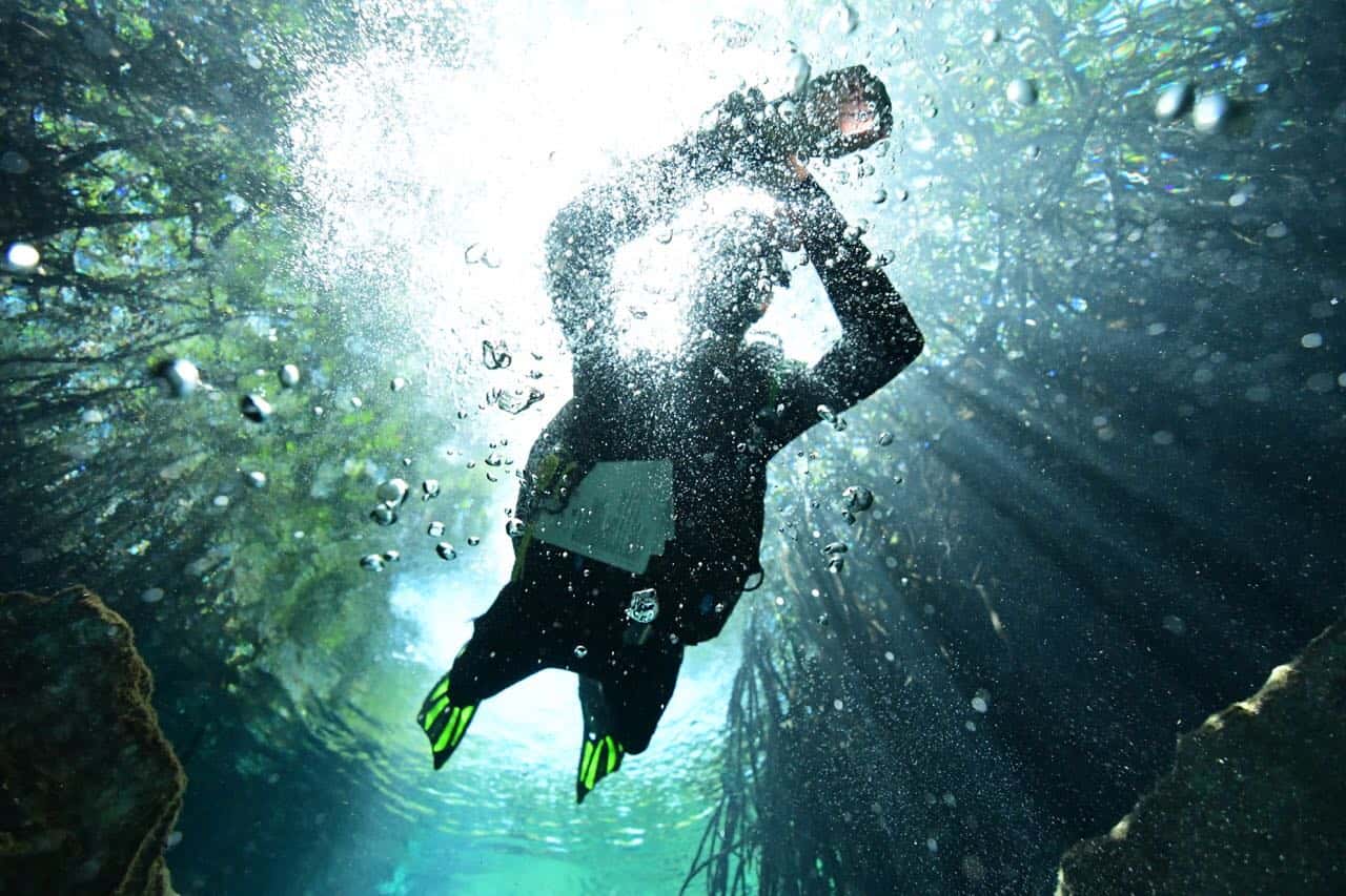 Agua Clara Diving Tulum — photo 2