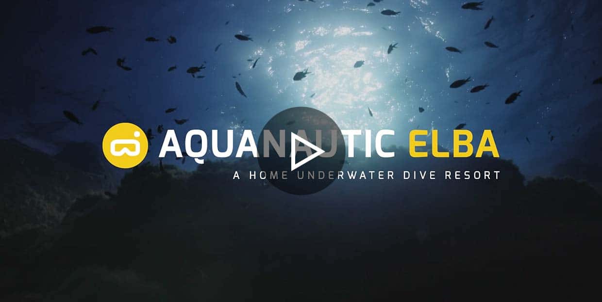 Aquanautic Elba — photo 2
