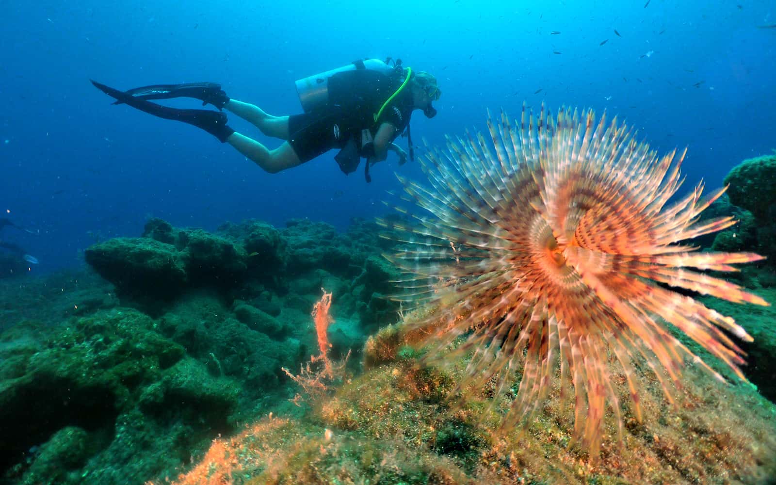 Aquapro Turkey — photo 2