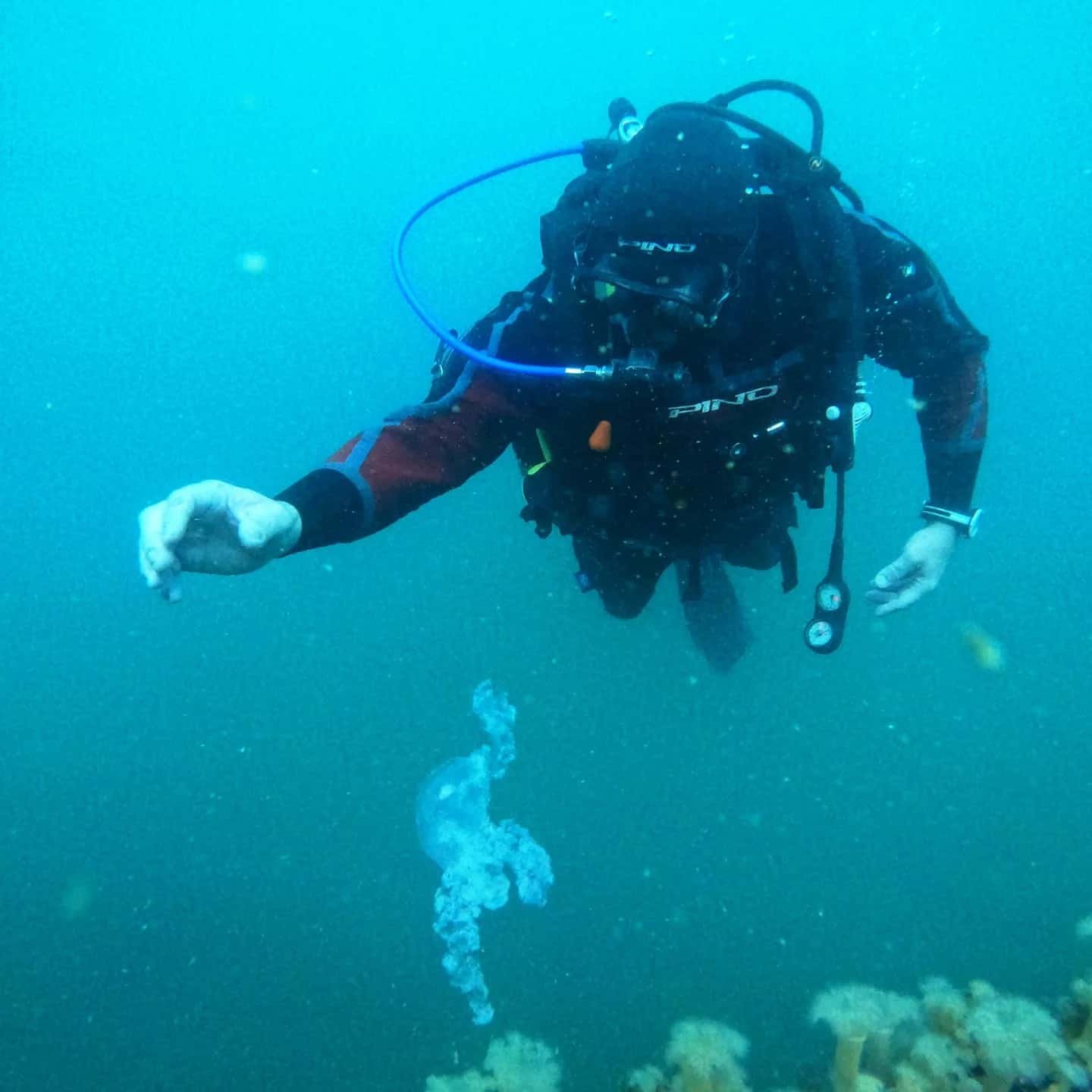 Aqua Tours — photo 4