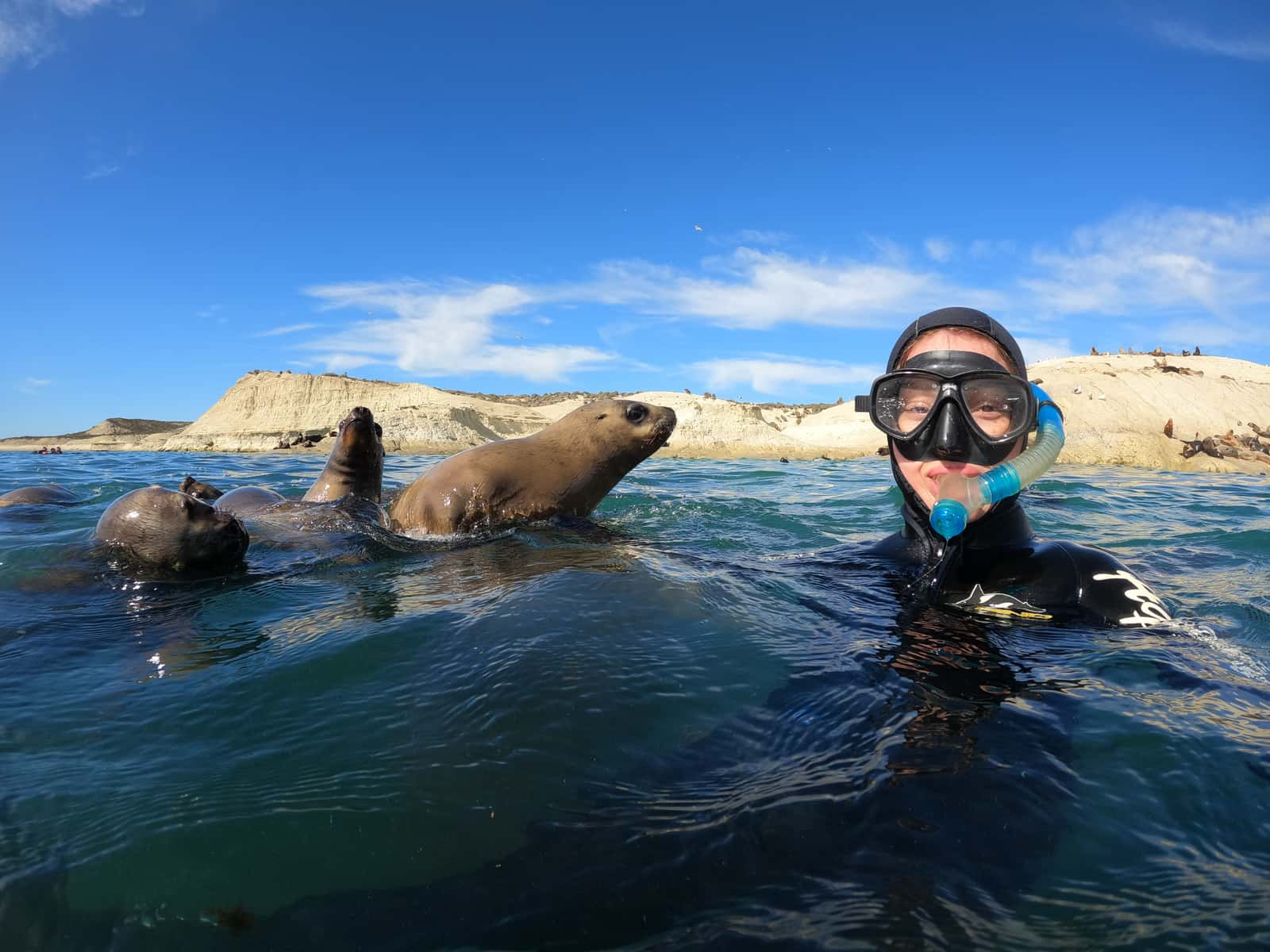 Aqua Tours — photo 3