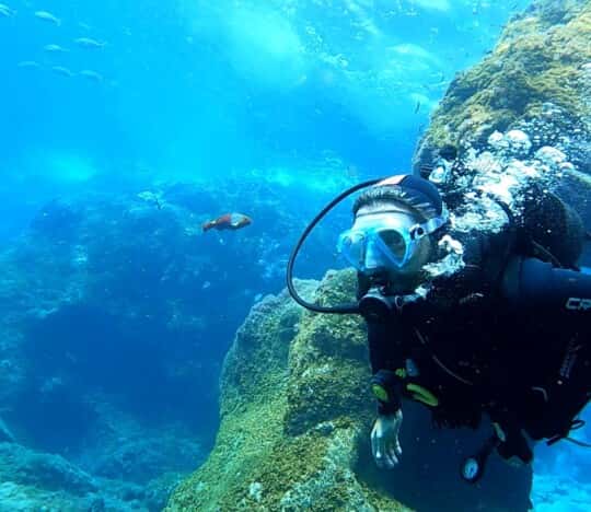 Arrecifal Centro de buceo
