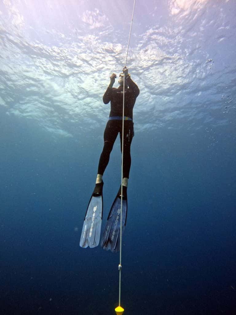 Art of Diving — photo 2