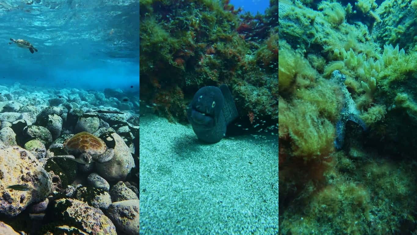 Atlantic Divers — photo 5