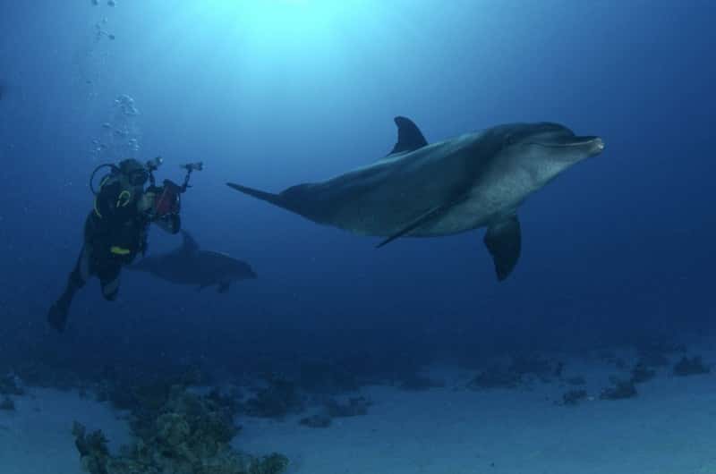Atlántida Buceo — photo 5