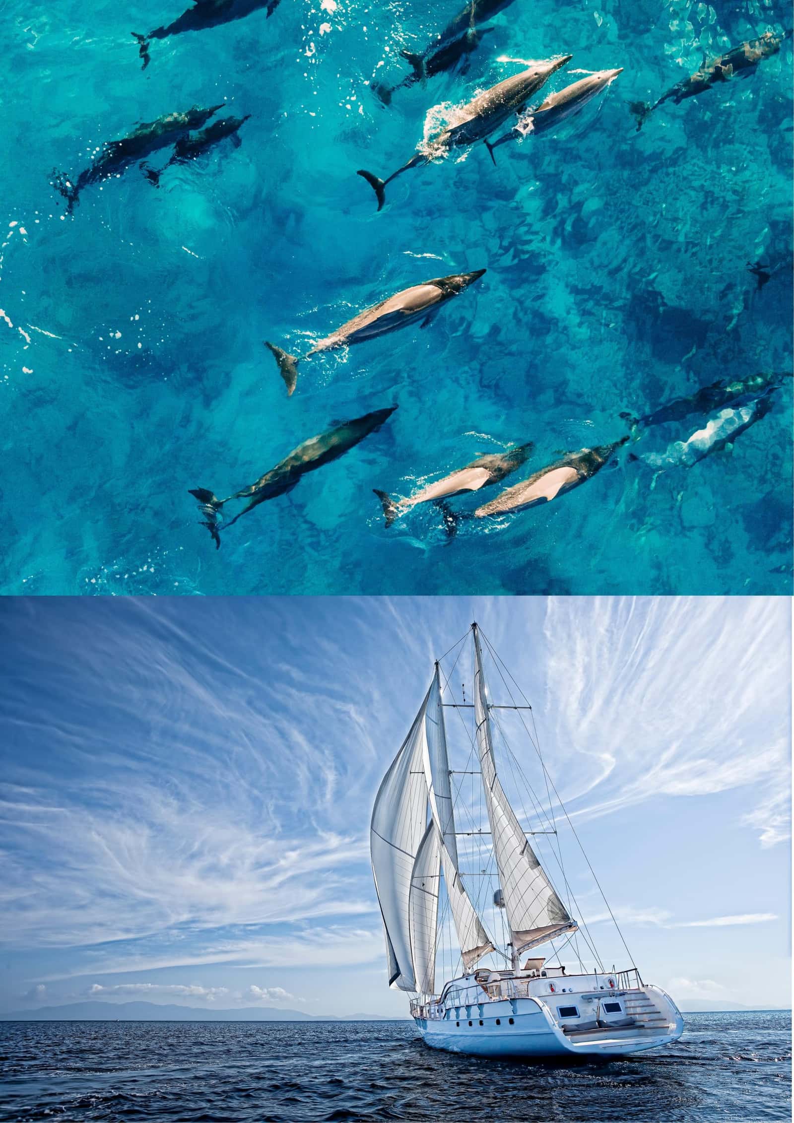 Atlantis Freediving — photo 2