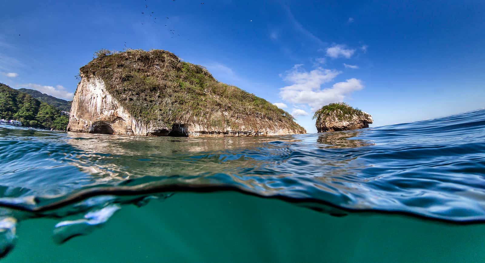 Banderas Scuba Republic — photo 2