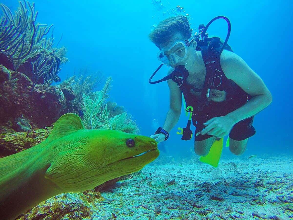 Belize Pro Dive Center — photo 2