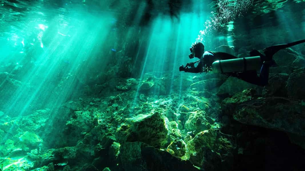 Best Cenote Dives