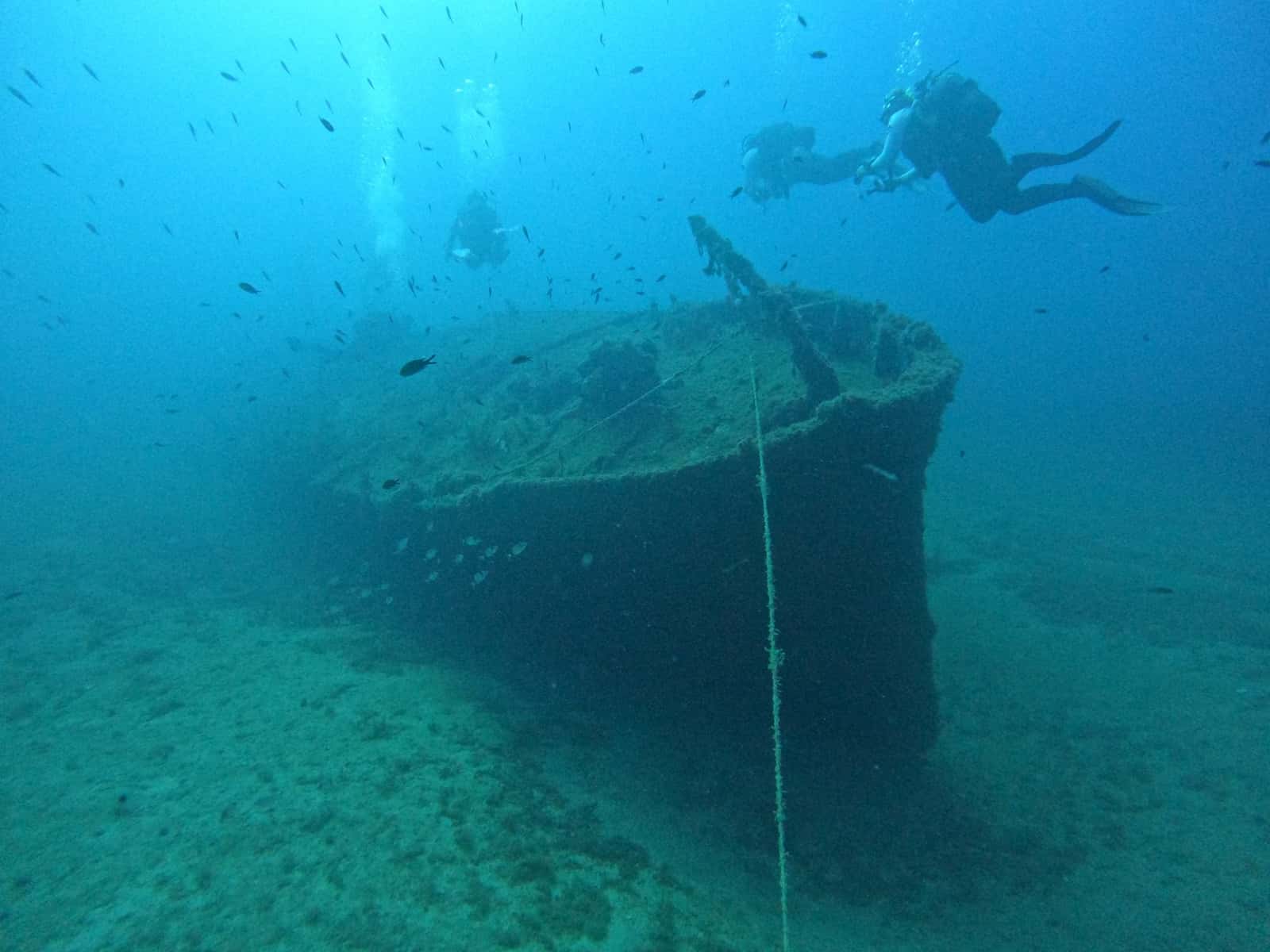 Big Blue Diving — photo 5