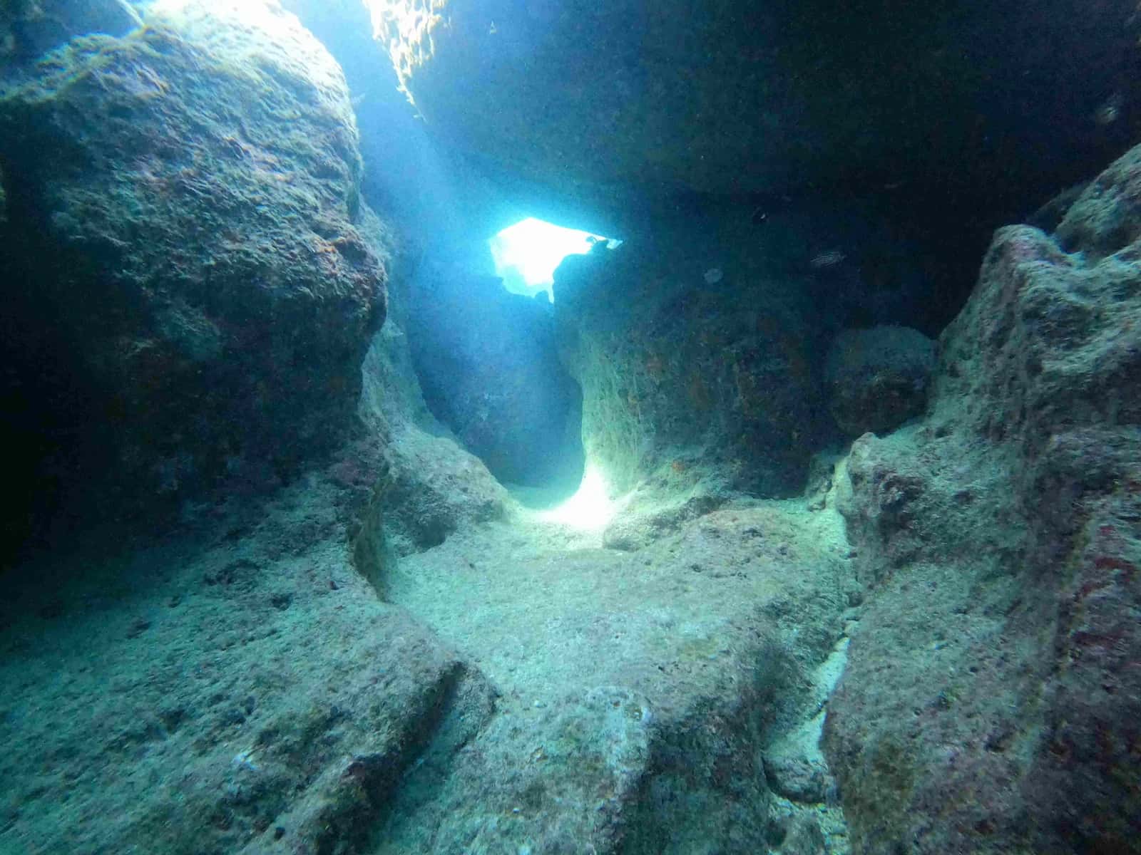 Big Fish Dive — photo 3