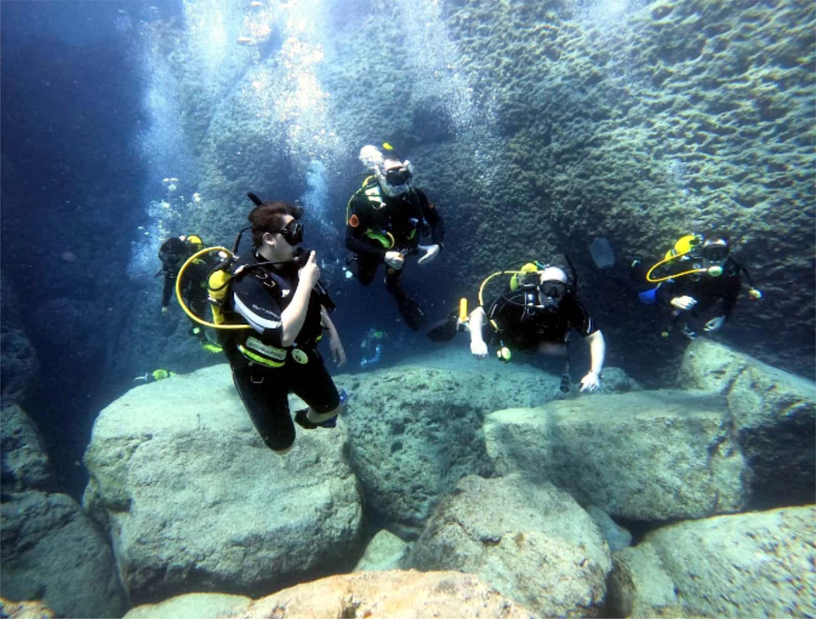 Big Fish Dive