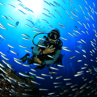 Blue Life