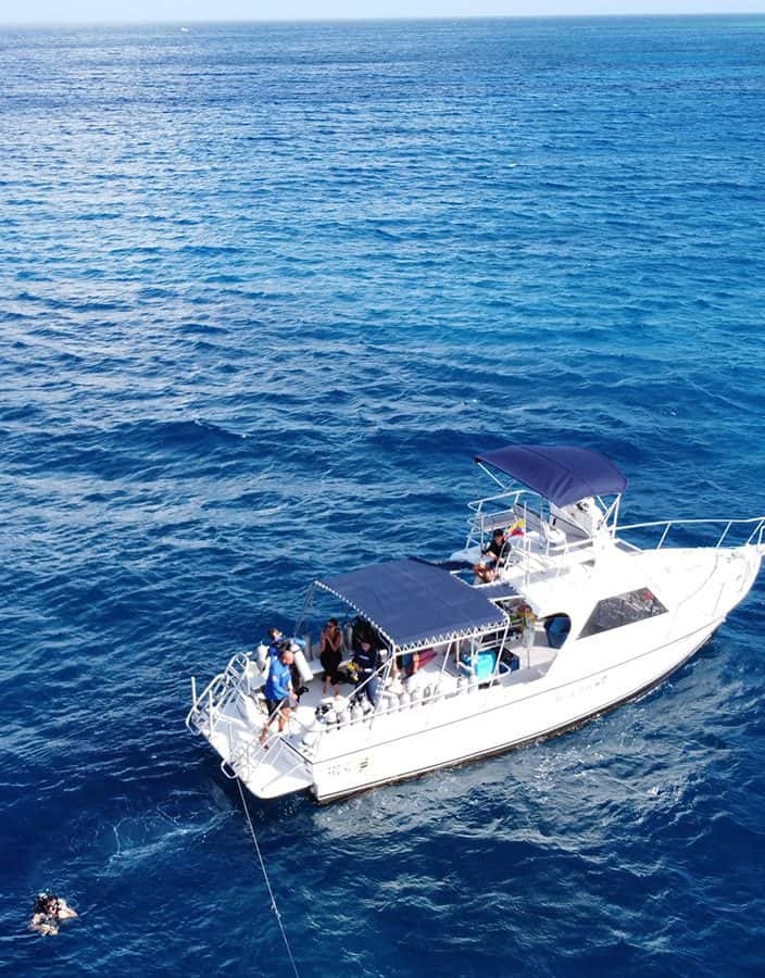 Blue Life Dive Center — photo 2