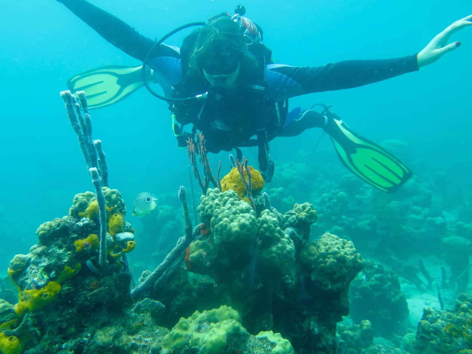 Bocas Pirates Dive Center — photo 3