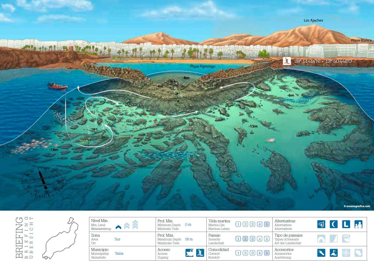 Bonito Diving Lanzarote — photo 3