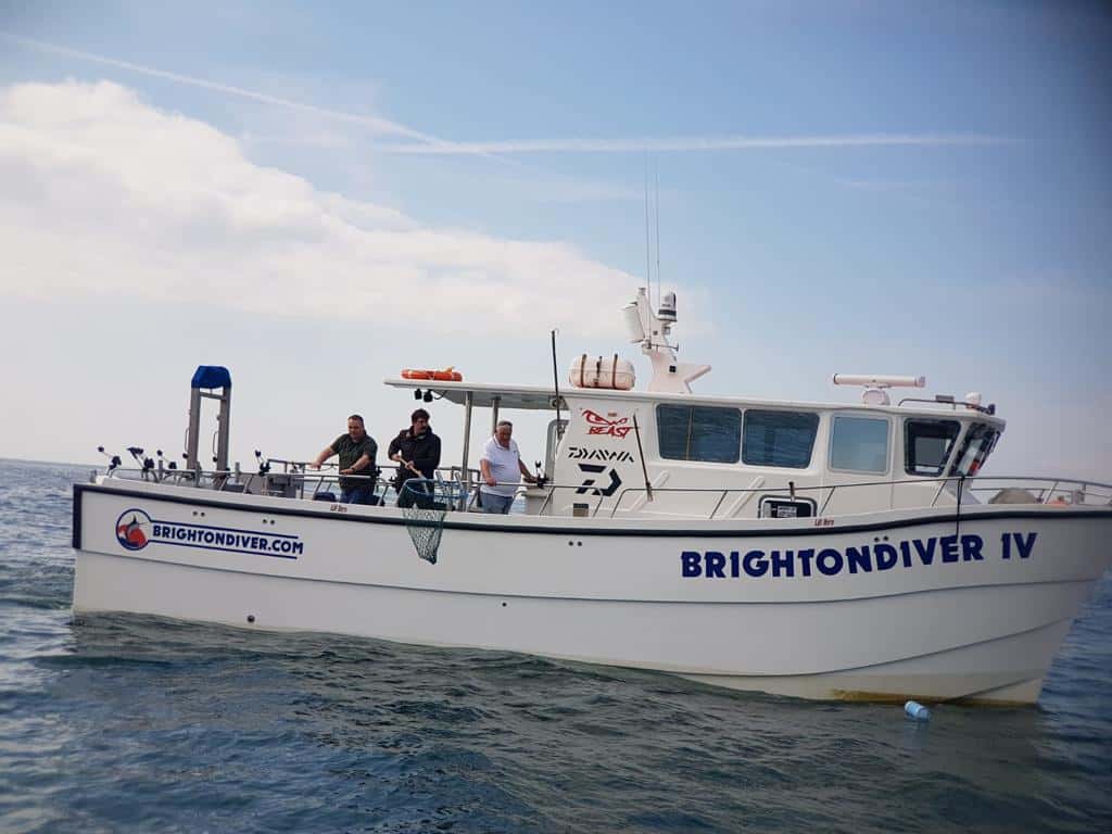 Brighton Diver