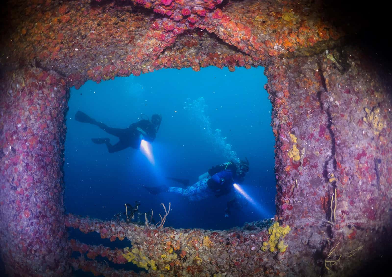 Budva Diving Center — photo 2