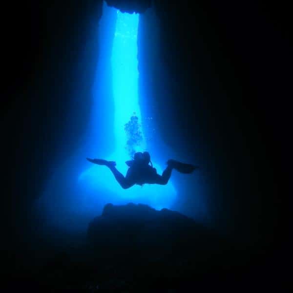 Caldera Diving — photo 4