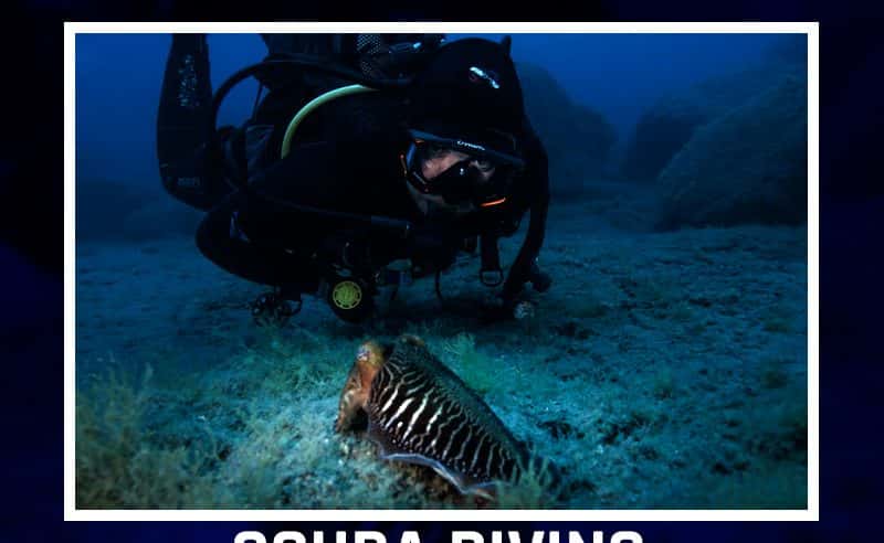 Canary Diving Adventures — photo 2
