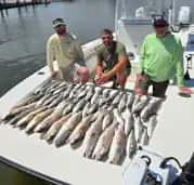 Captain John's Fin-Tastic Charters — photo 4
