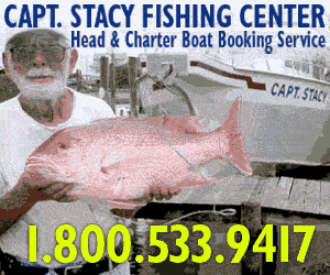 Capt. Stacy Fishing Center — photo 1