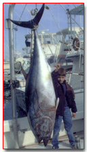Capt. Stacy Fishing Center — photo 2