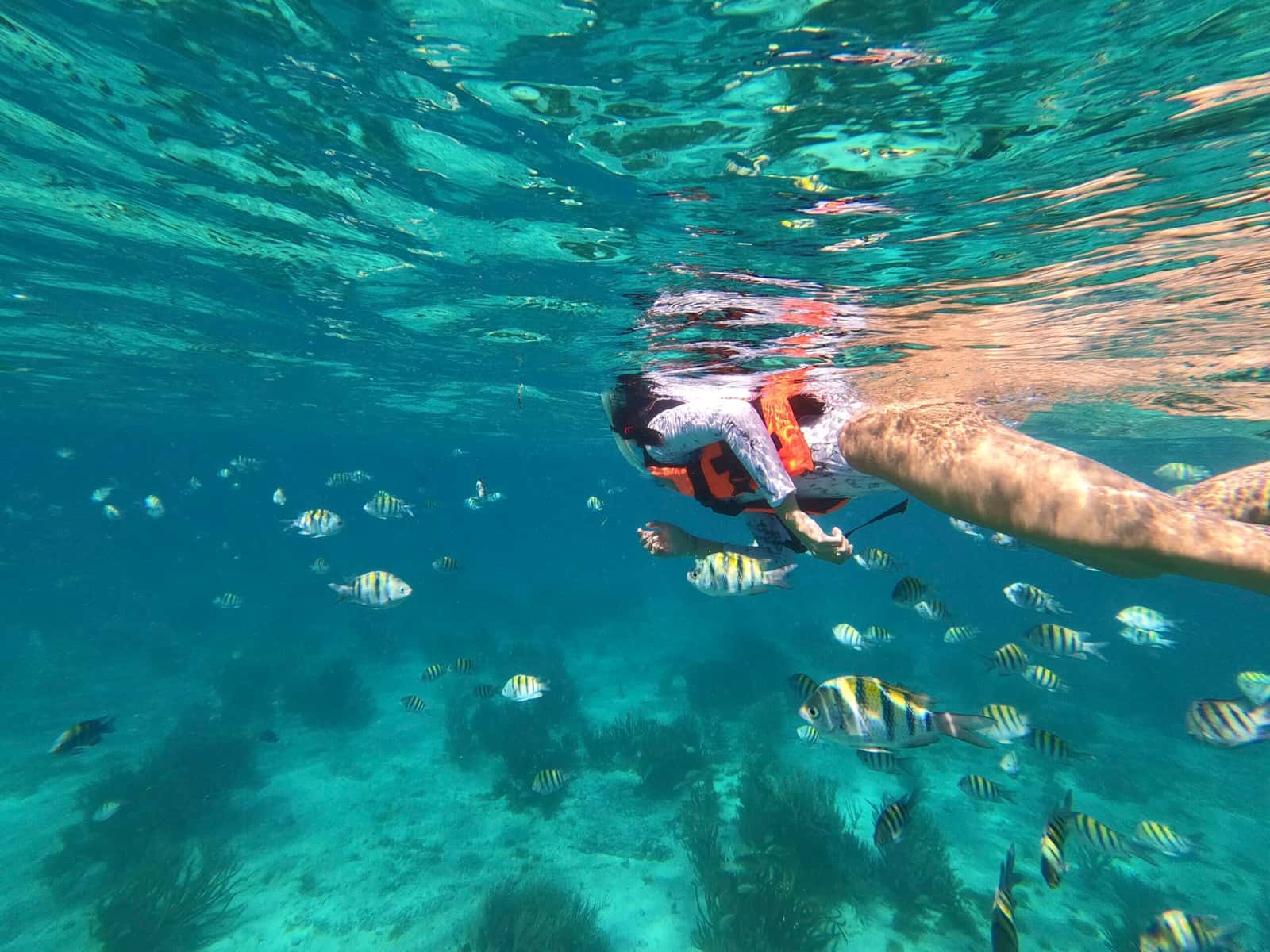 Casa del Buceo