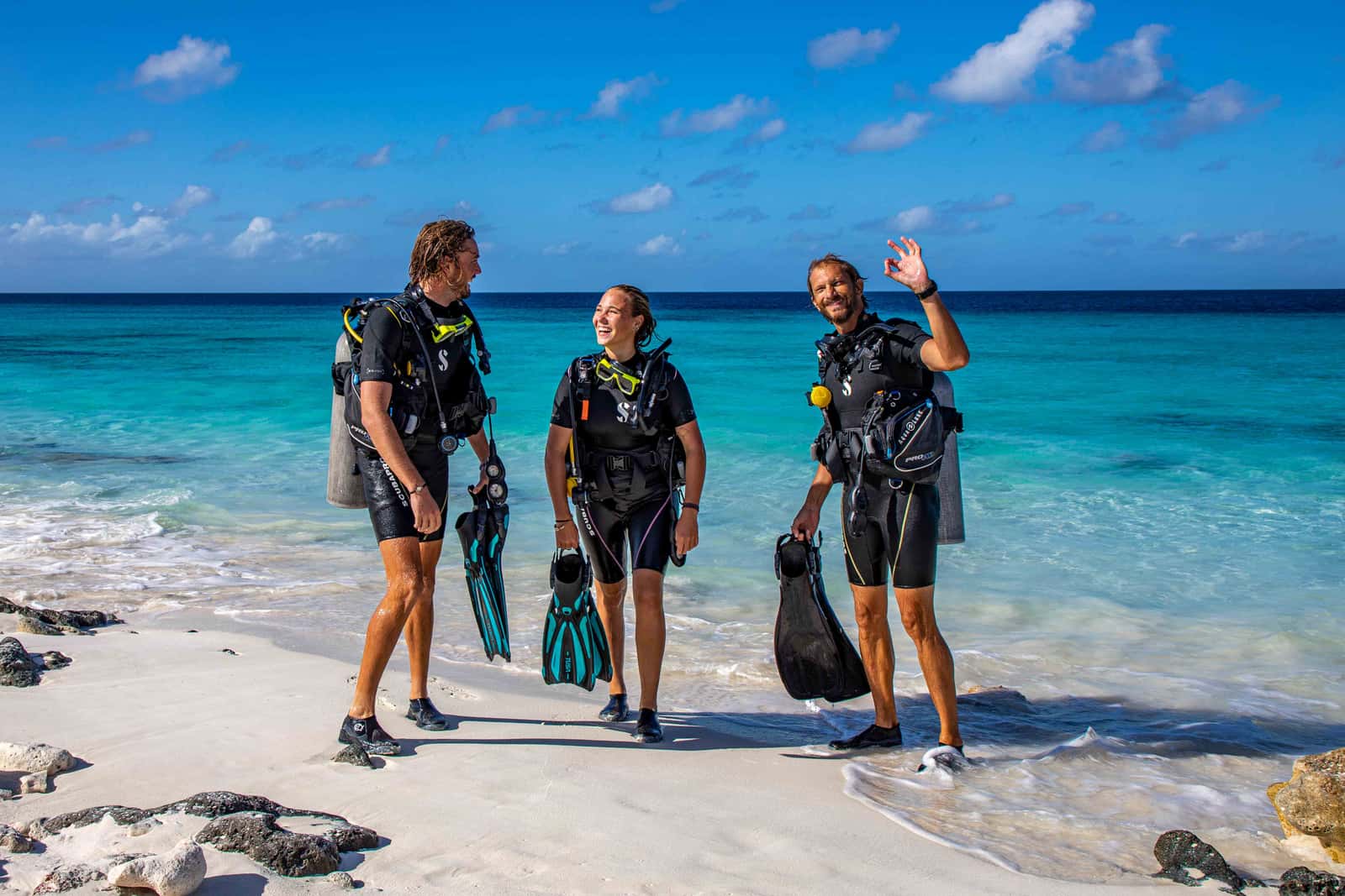 VIP Diving