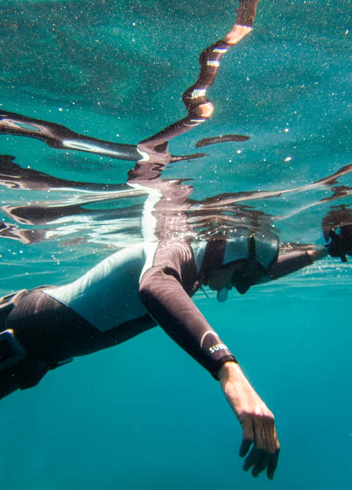 Blue Heaven - Freediving Ibiza — photo 4