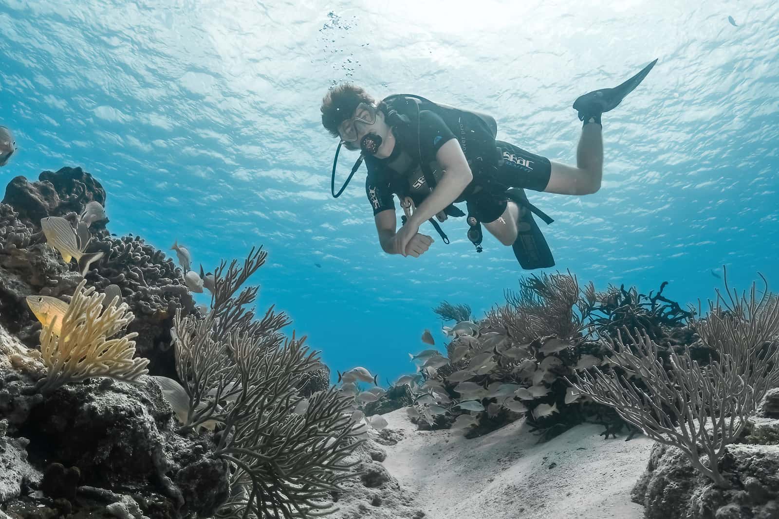 Immersive Cozumel — photo 3