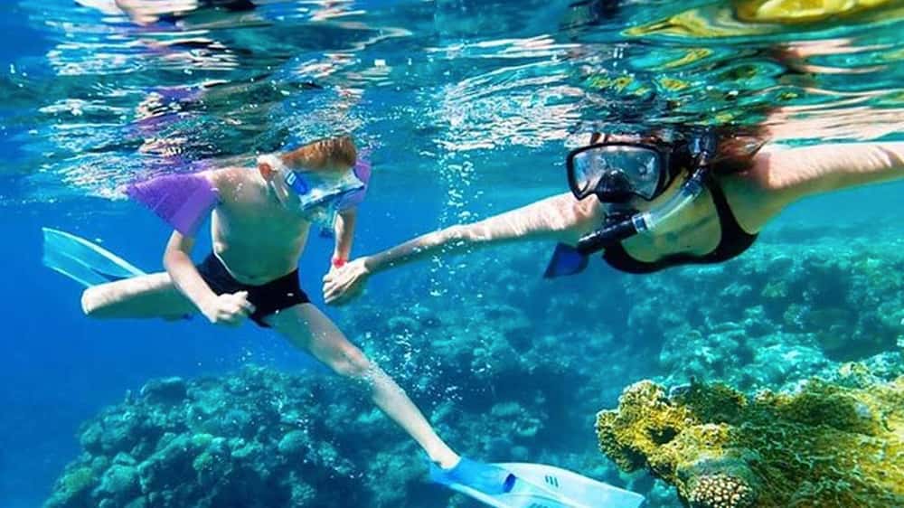 Immersive Cozumel
