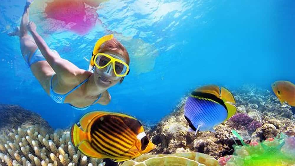 Immersive Cozumel — photo 2