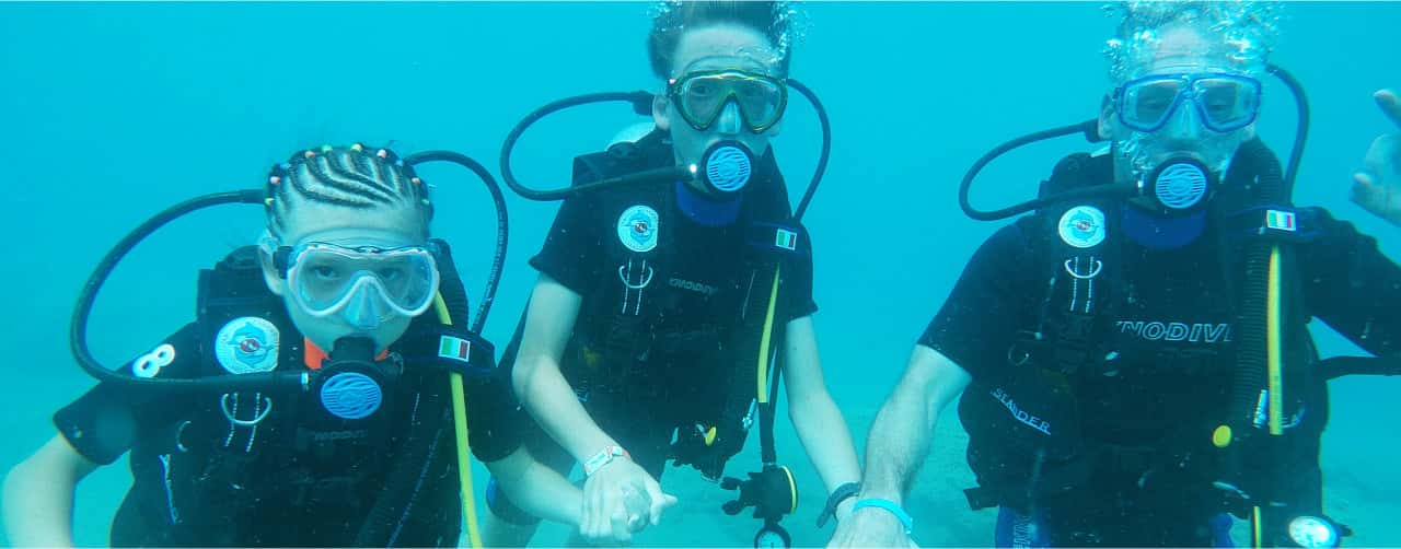 Crab Divers — photo 2