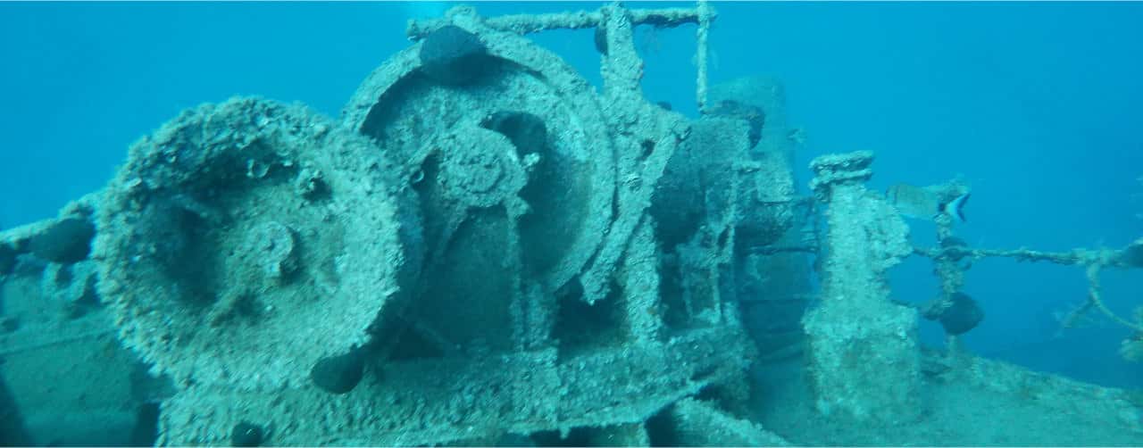 Crab Divers — photo 3