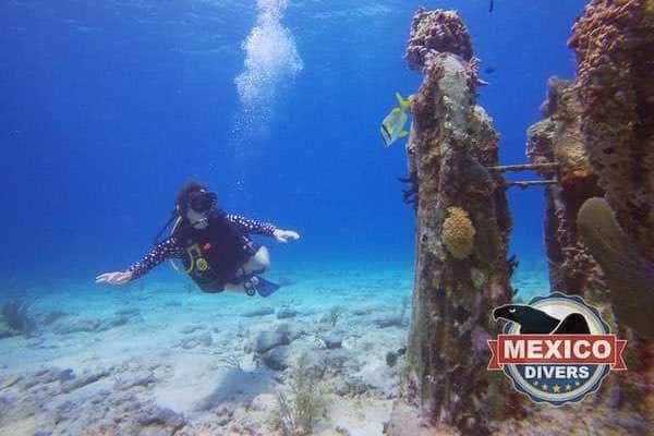 Mexico Divers
