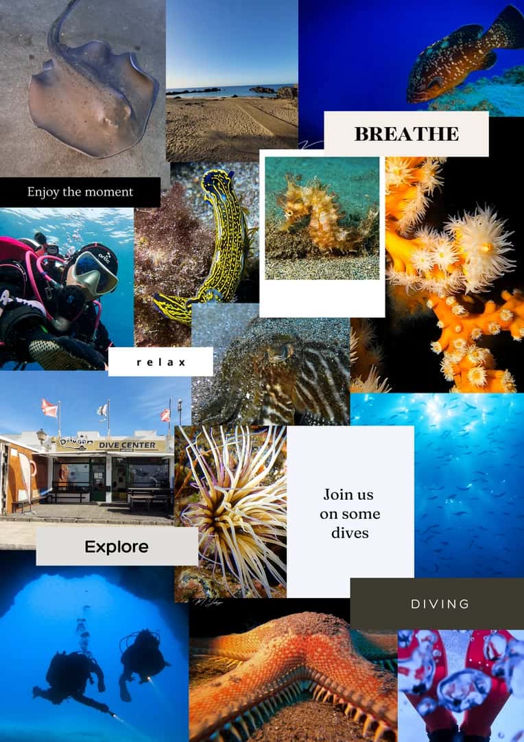 Daivoon Diving Centre