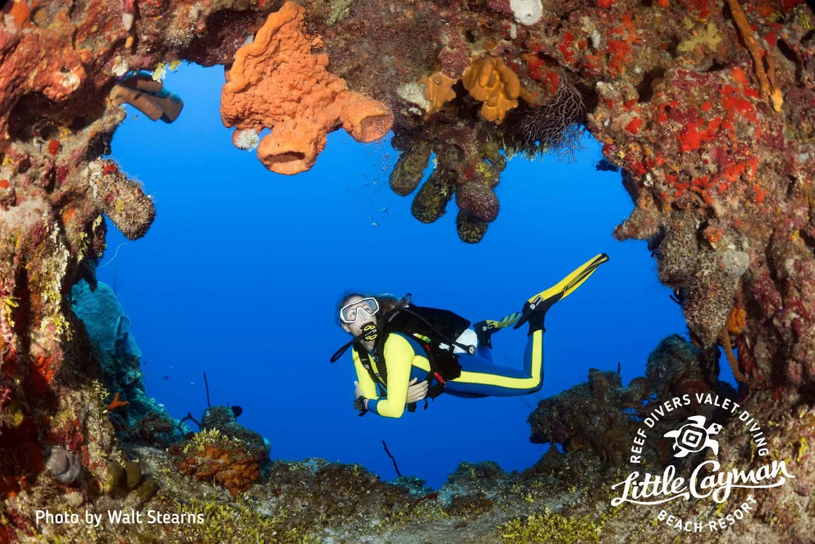 High Sierra Divers — photo 2
