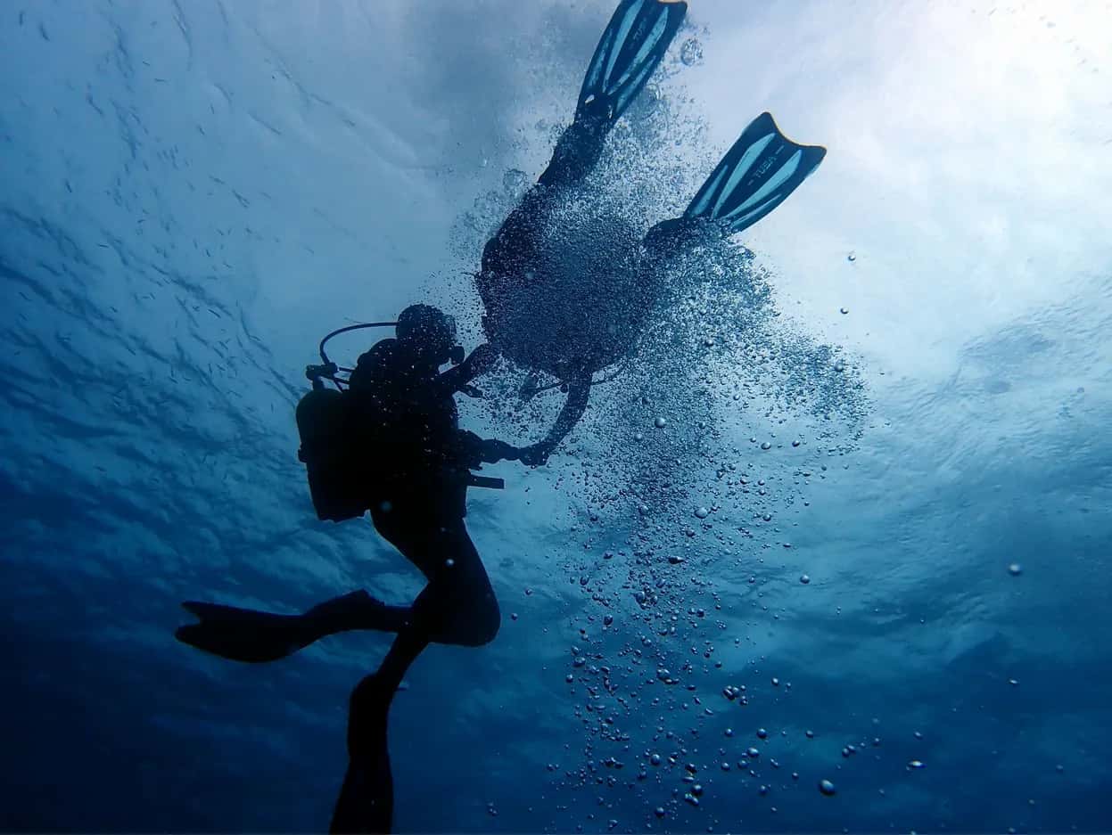 Deep Blue Divers