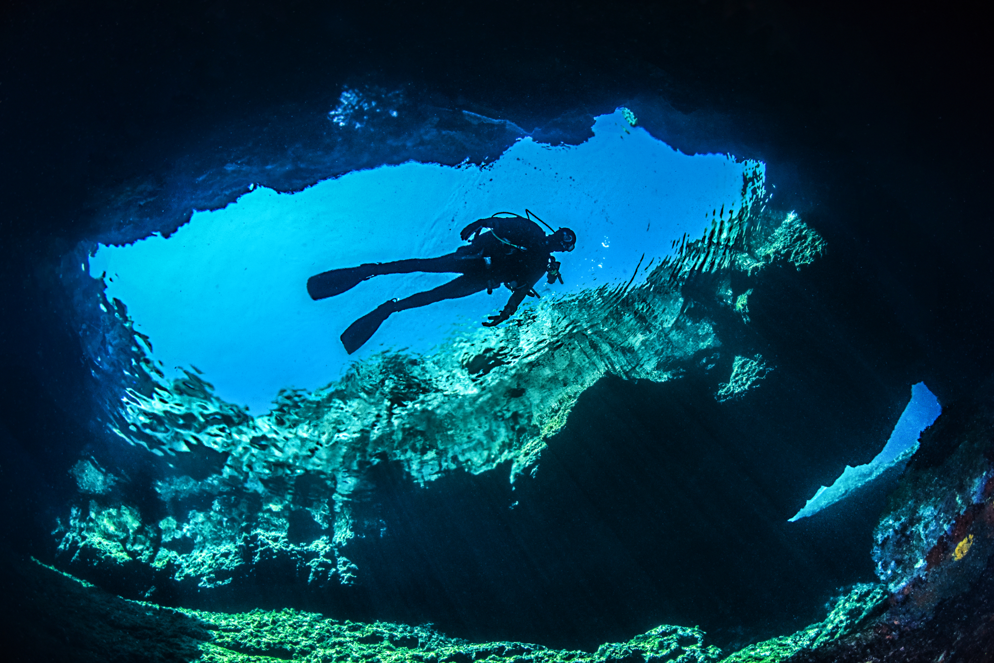 Divecrew — photo 2