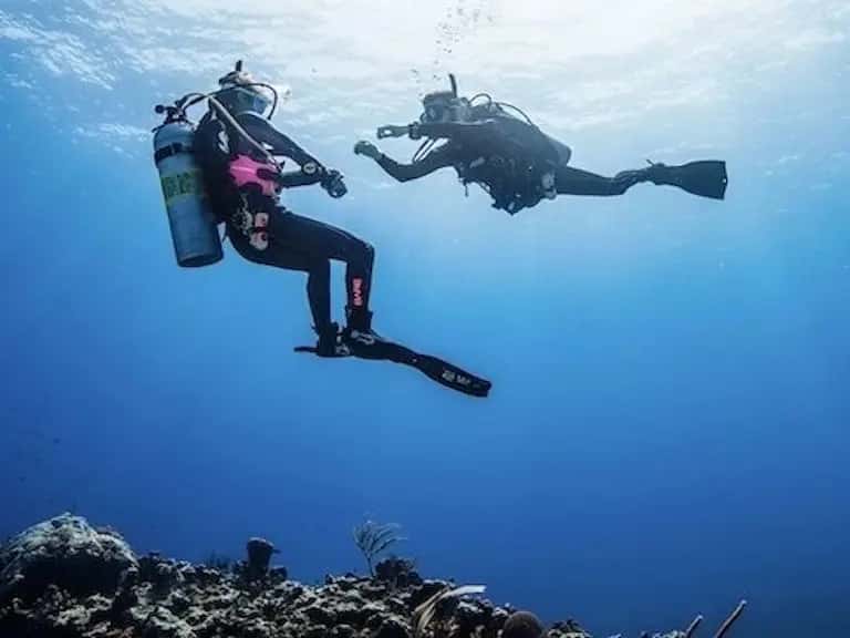 Dive Deep Blue by ABC Diving — photo 3